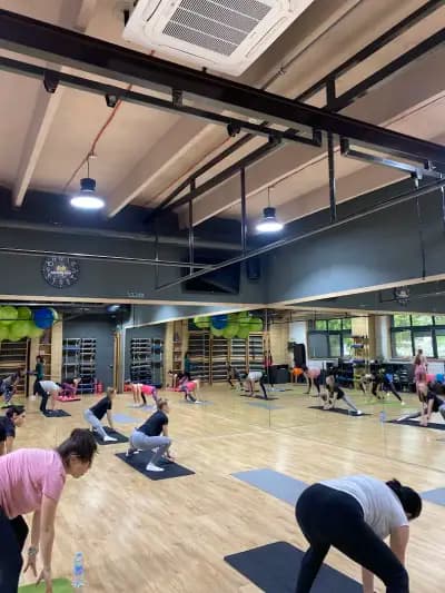 Hammer Gym Center