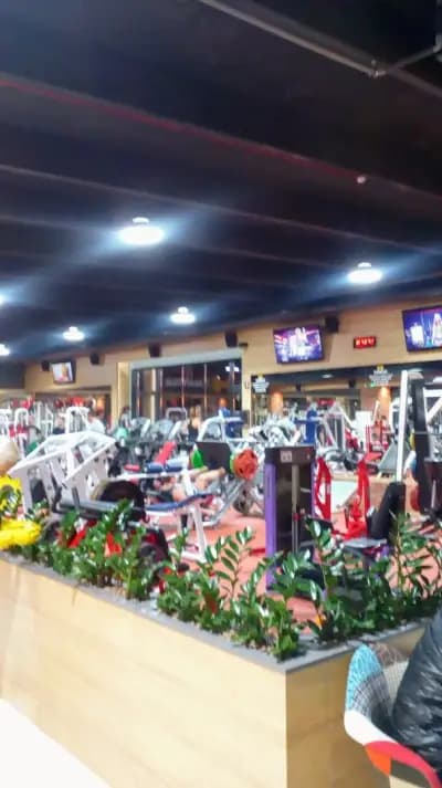 Hammer Gym Center