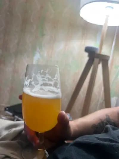 В света на бирата