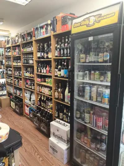 В света на бирата