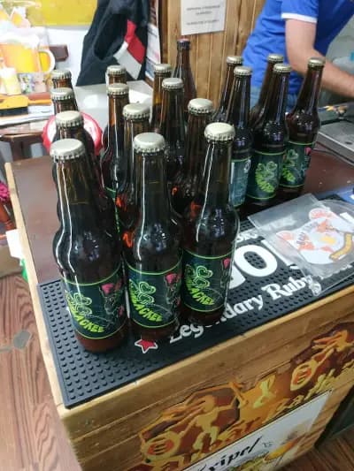 В света на бирата