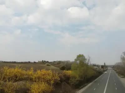Ферма за щрауси Божурище