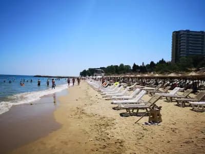 Mojito Beach Style