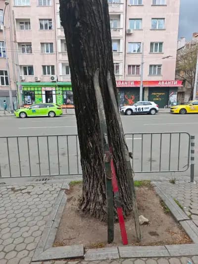 Дрехата БГ