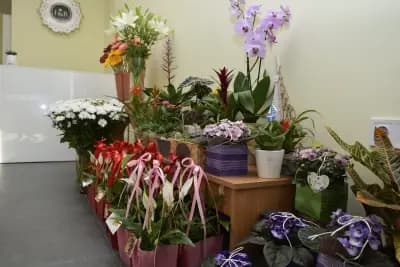 F&R Студио за цветя и подаръци