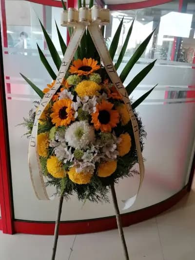 Цветарница Антея