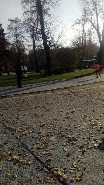 ПГ по туризъм