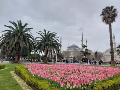 Нирамар Травел