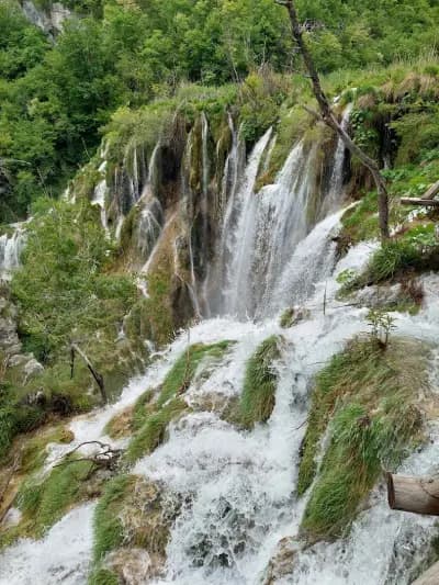 Нирамар Травел