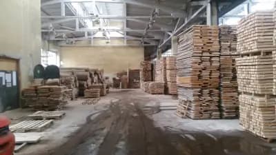 "Стоеви Максгруп" ЕООД