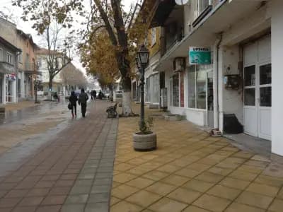 Mitkov