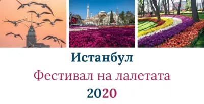 Ертурс ООД / RTours ltd