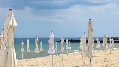 Ballermann6 Beach Bar