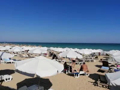 Ballermann6 Beach Bar