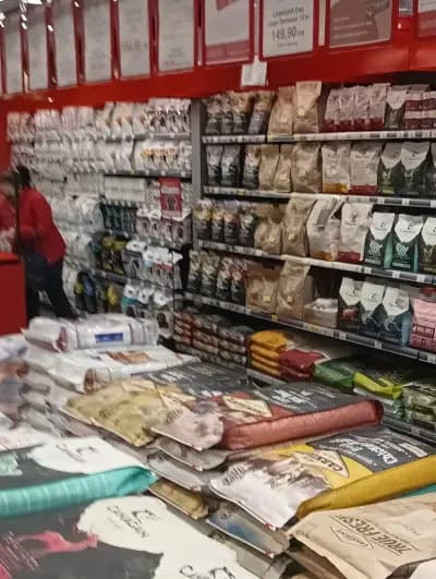 НЕЧОВЕШКИ МАГАЗИНИ