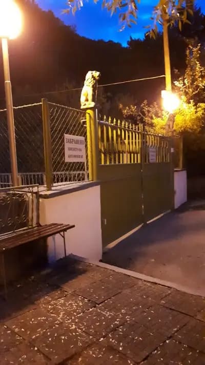 ВЕЦ ЧЕРНИ ОСЪМ