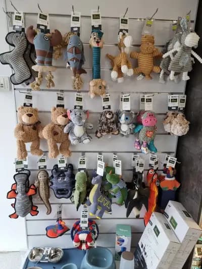 Зоомагазин e-dogshop.eu