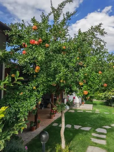 Guest House Raiski Kаt