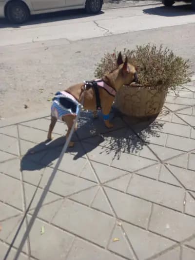 Вет. Клиника Зоо-Вет