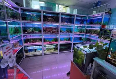 Зооцентър Аква Планет (Aqua Planet) | Зоомагазин Добрич | Аквариуми | Аксесоари | Храни