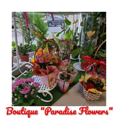 Boutique "Paradise Flowers"