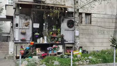 Цветарски магазин IVENFLORIST