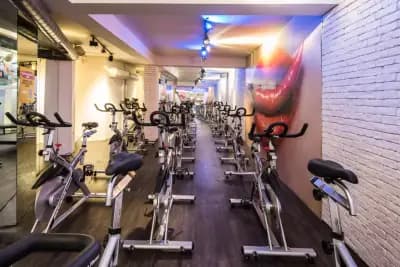 Pulse Fitness Deluxe