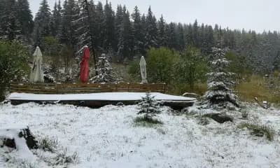 Хижа Филхармонията "Пънчето"