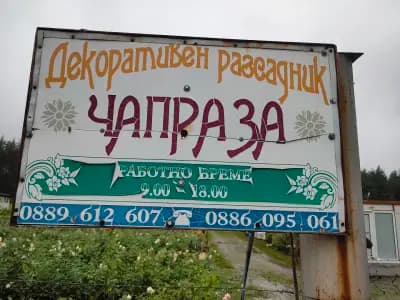 Декоративен разсадник "Чапраза"