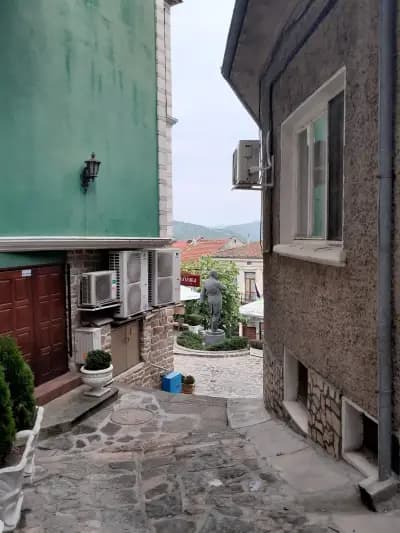 Rooster Hostel