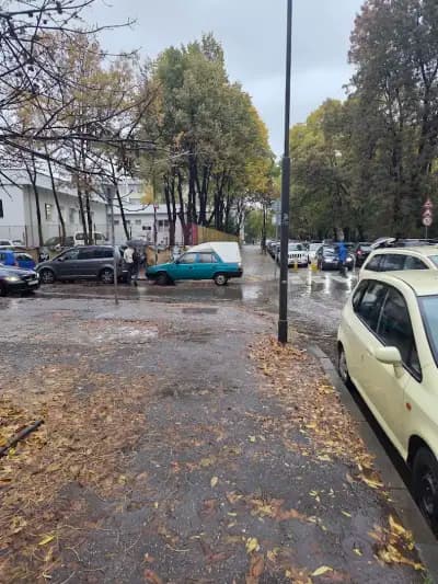 51 средно училище „Елисавета Багряна“