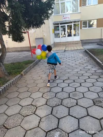 Цдг 24
