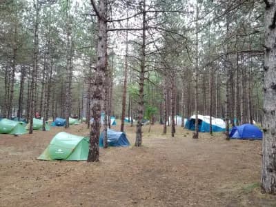 Offshore Camp
