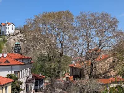 Villa Flavia Heritage Hotel