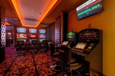 WinBet