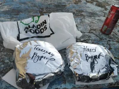 Aladin Foods