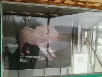 Тракийска куполна гробница храм Мезек