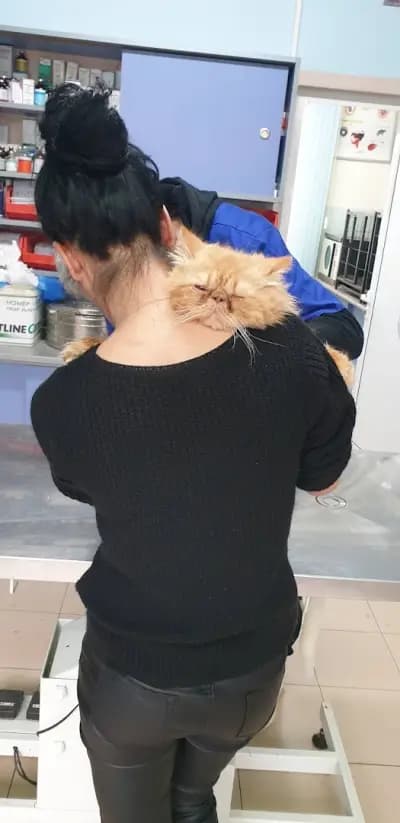 Duo Vet