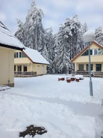 Боровец Национална Спортна Академия