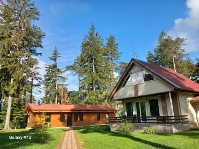 Боровец Национална Спортна Академия