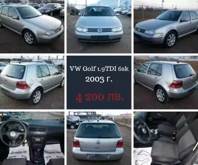Max Auto 2010