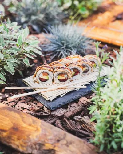 Ninja Sushi - the best sushi in Pleven