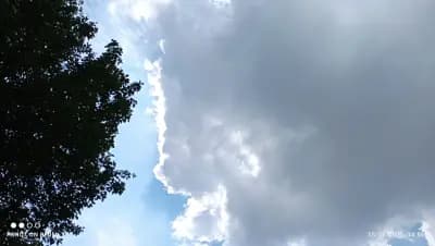 Супермаркет Фантазия