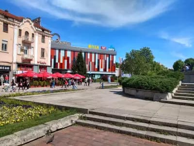 Канапе
