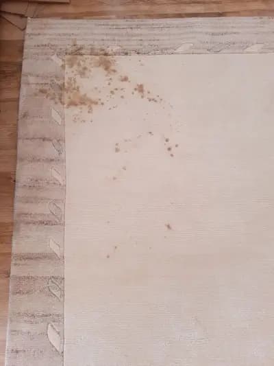 Kanev Carpet | Център за машинно пране на килими София