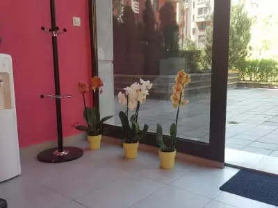 Салон за Красота "Вивиан"