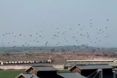 ЖП гара Свиленград