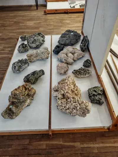 Исторически музей Момчиловци