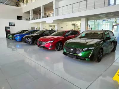 PEUGEOT SFA RETAIL RUSE