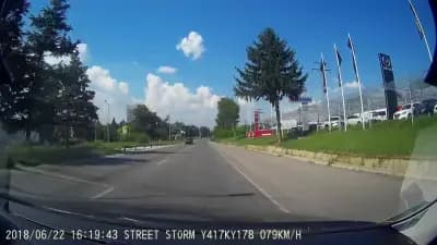 Suzuki Русе